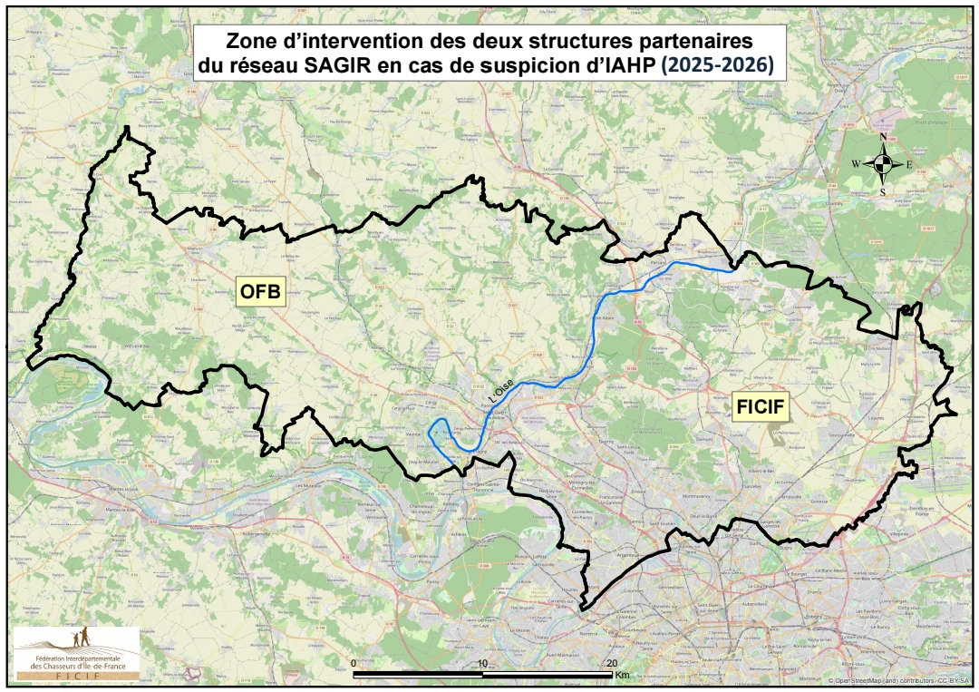 80862_251030_102752_21 80862_251030_102752_21