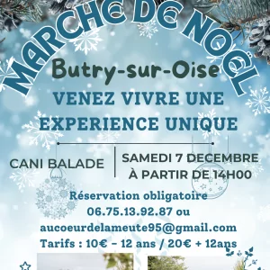 CANI BALADE LORS DU MARCHE DE NOËL 2024