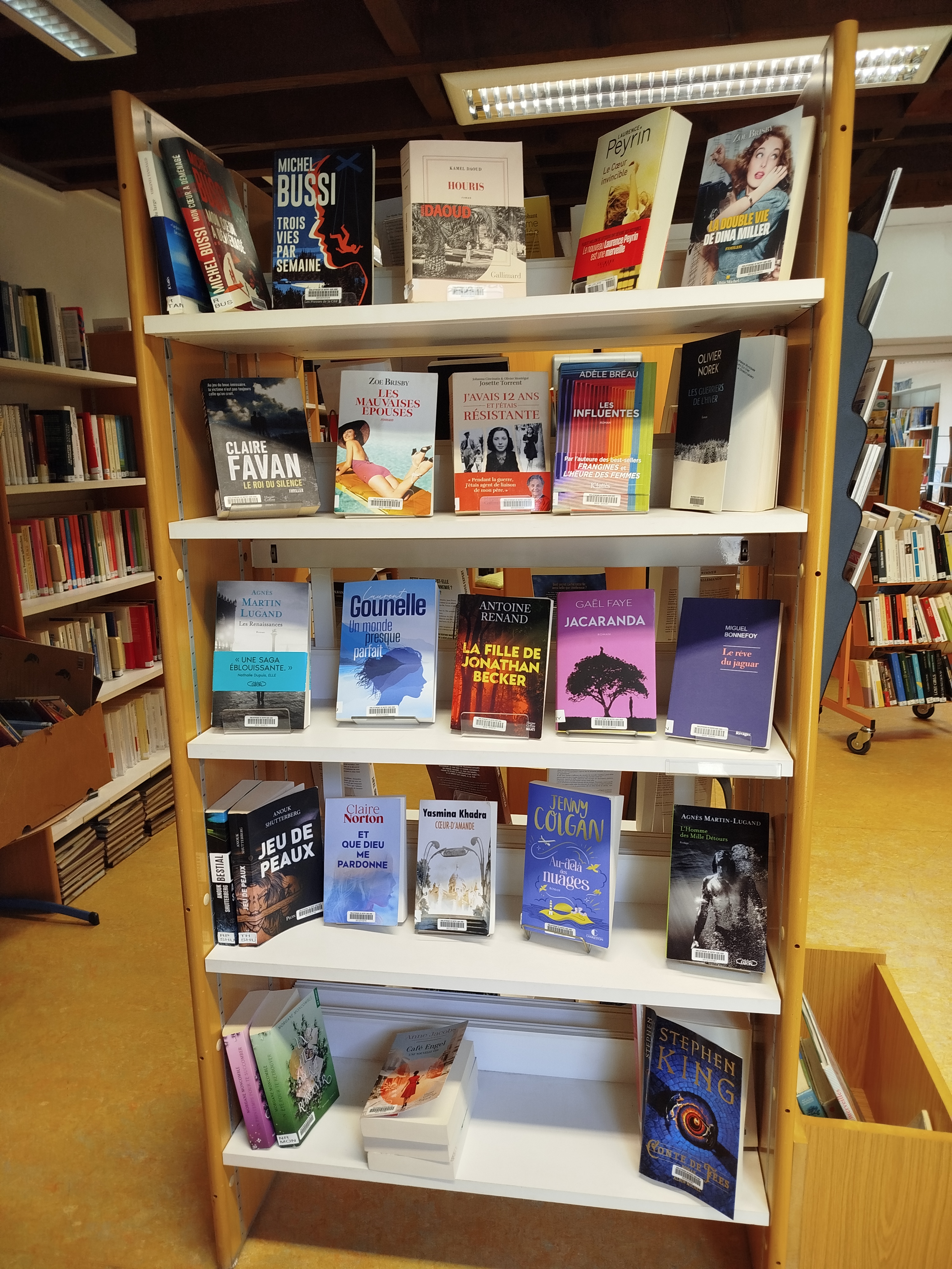 IMG_20250611_1424421