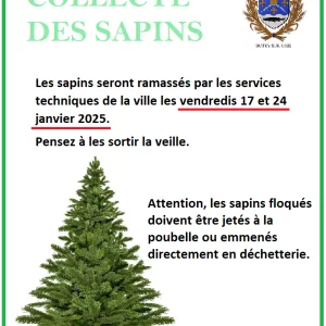 COLLECTE DES SAPINS JANVIER 2025